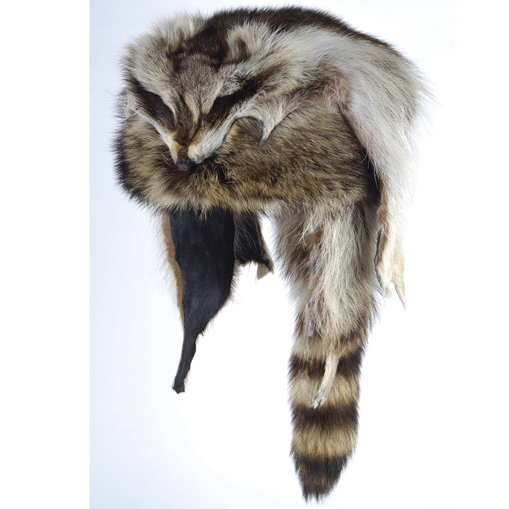 Raccoon Fur Mountain Man Hat