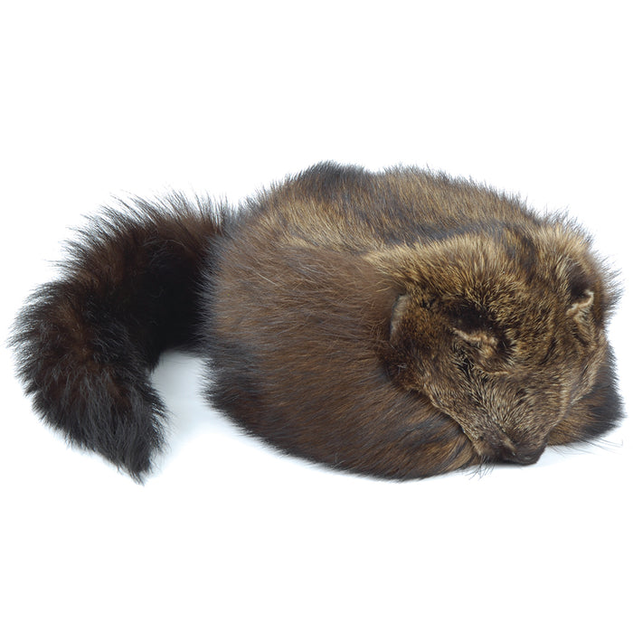 Northern Fisher Davy Crockett Hat