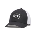 Men's UA Fish Low Stretch Fit Cap