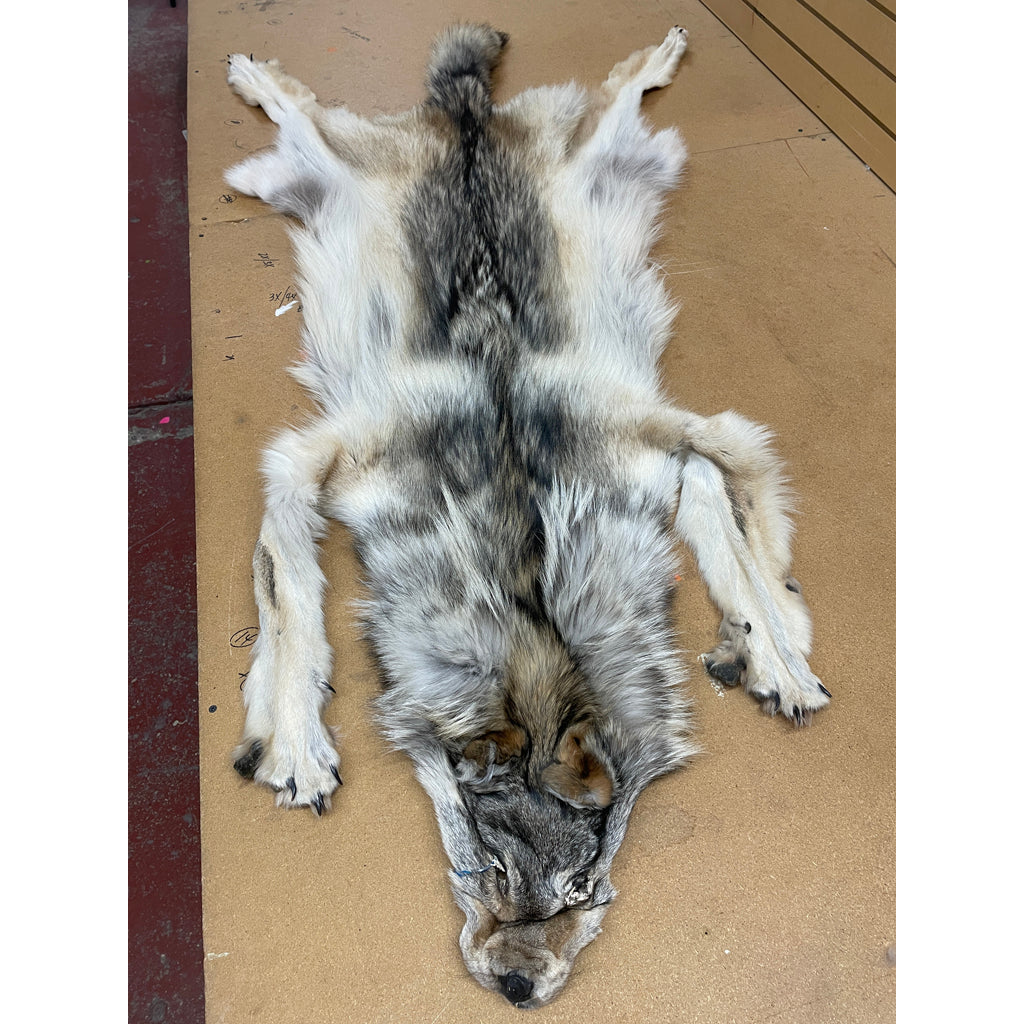 Timber Wolf - 74.5 Inches