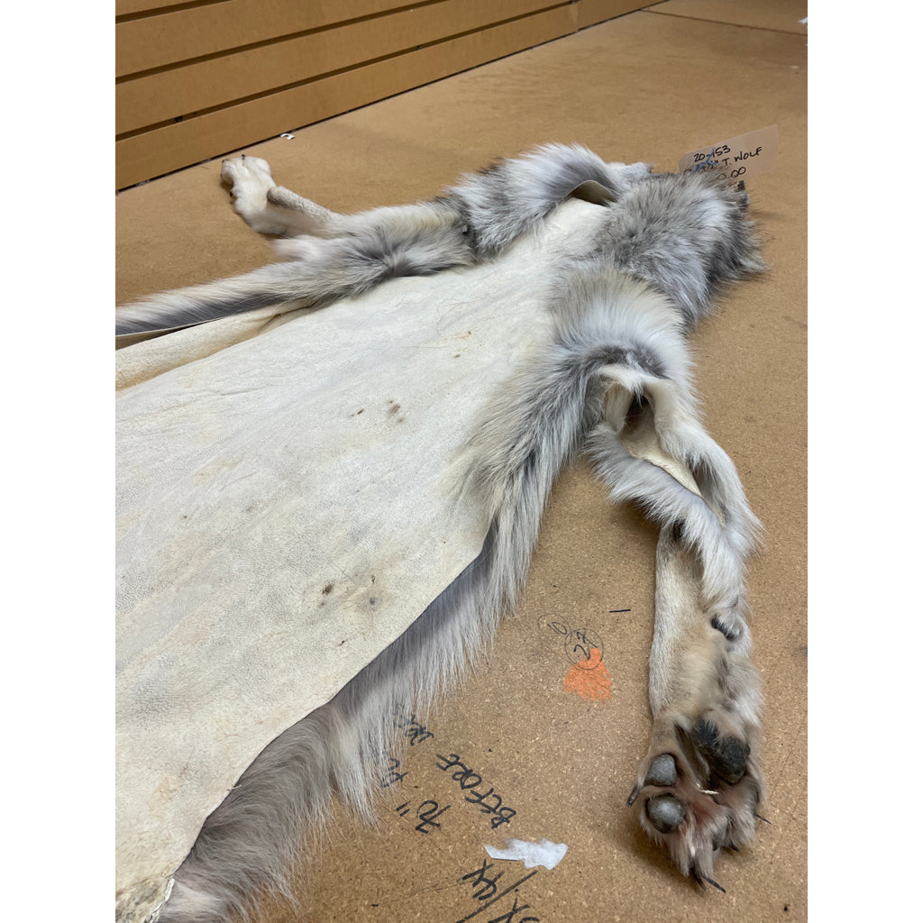 Timber Wolf - 74.5 Inches