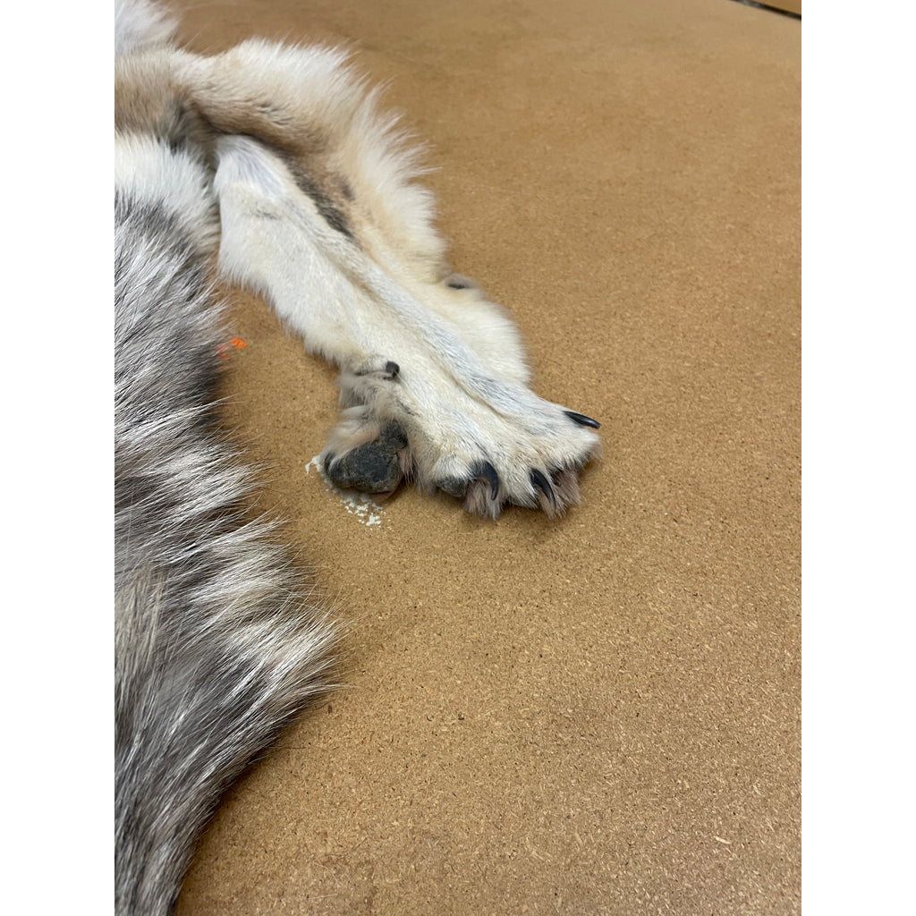 Timber Wolf - 74.5 Inches