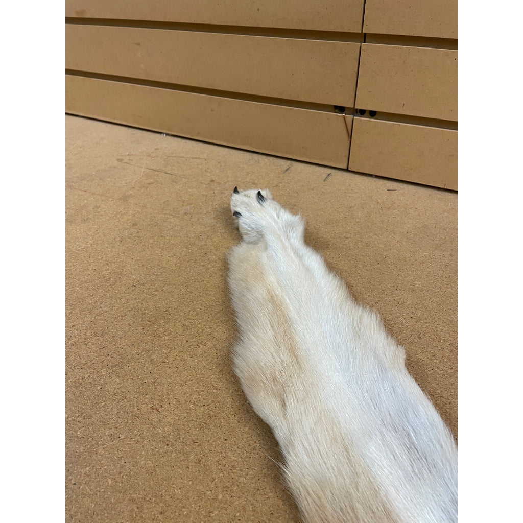 Timber Wolf - 74.5 Inches