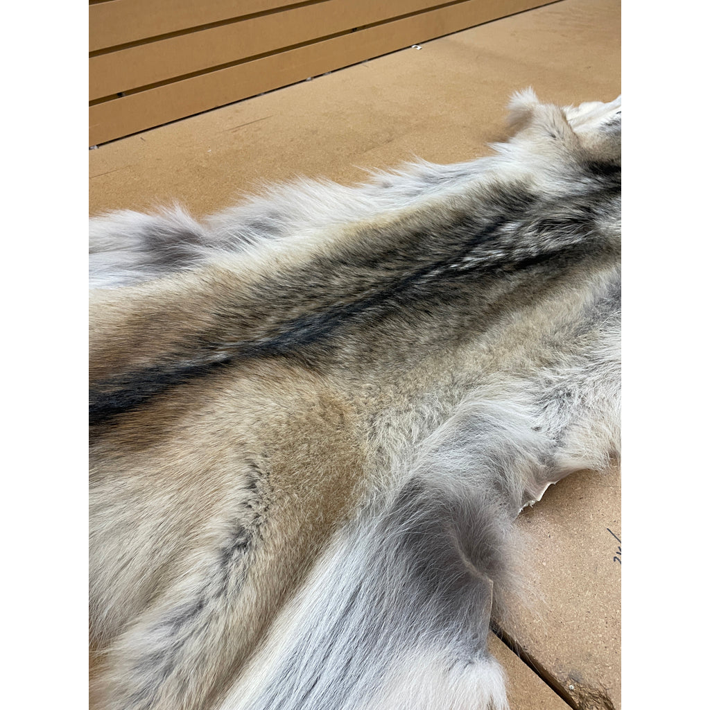 Timber Wolf - 74.5 Inches