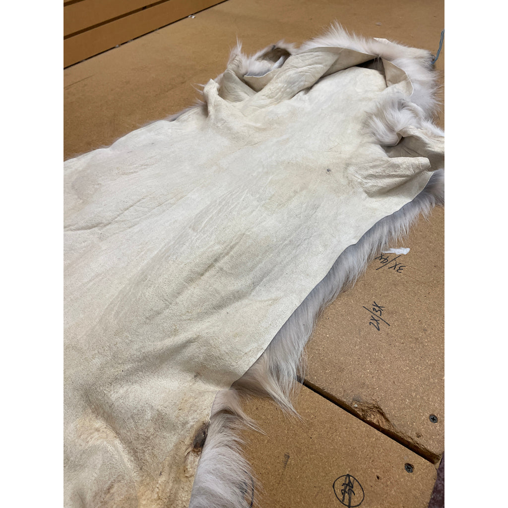 Timber Wolf - 81 Inches