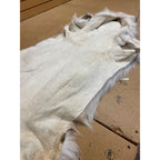 Timber Wolf - 81 Inches
