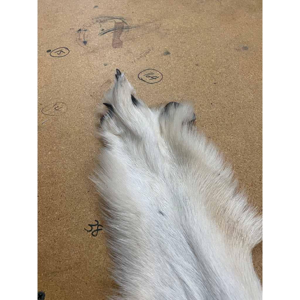 Timber Wolf - 81 Inches
