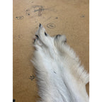 Timber Wolf - 81 Inches