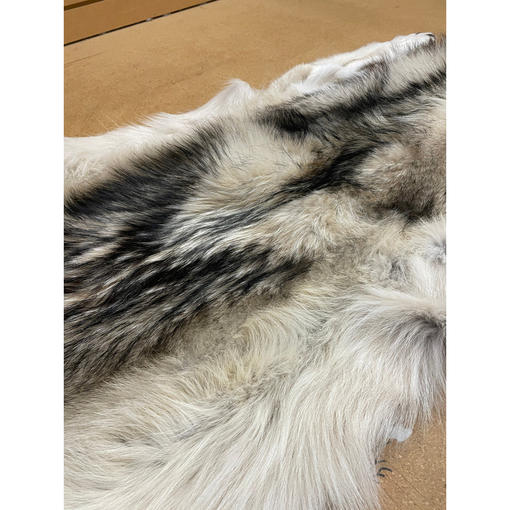 Timber Wolf - 81 Inches
