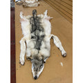 Timber Wolf - 76 Inches
