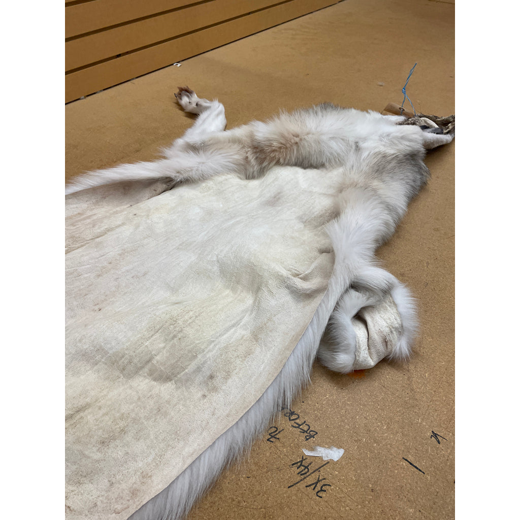 Timber Wolf - 76 Inches