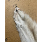 Timber Wolf - 76 Inches