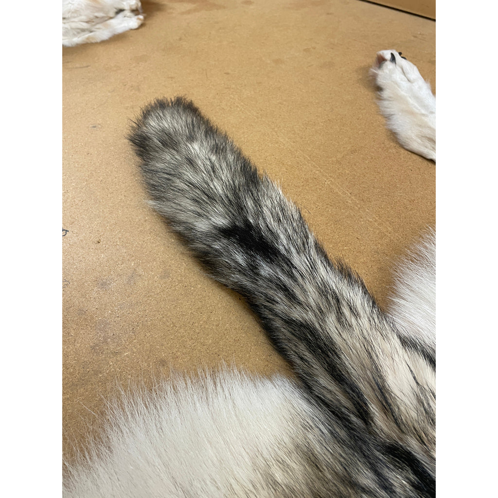 Timber Wolf - 76 Inches