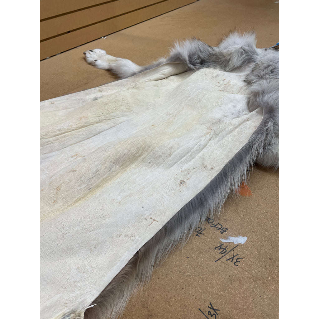 Timber Wolf - 83 Inches