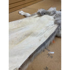 Timber Wolf - 83 Inches