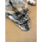 Timber Wolf - 83 Inches