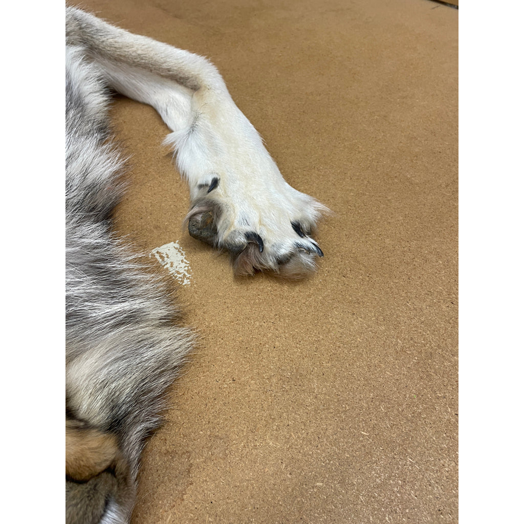 Timber Wolf - 83 Inches