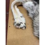 Timber Wolf - 83 Inches