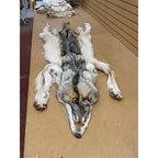 Timber Wolf - 86 Inches