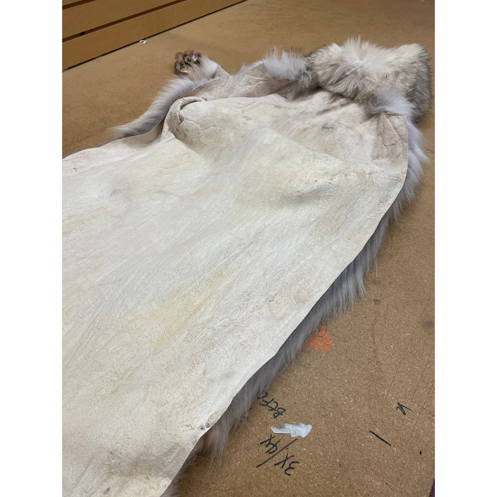 Timber Wolf - 86 Inches
