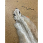 Timber Wolf - 86 Inches