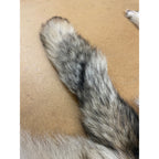 Timber Wolf - 86 Inches
