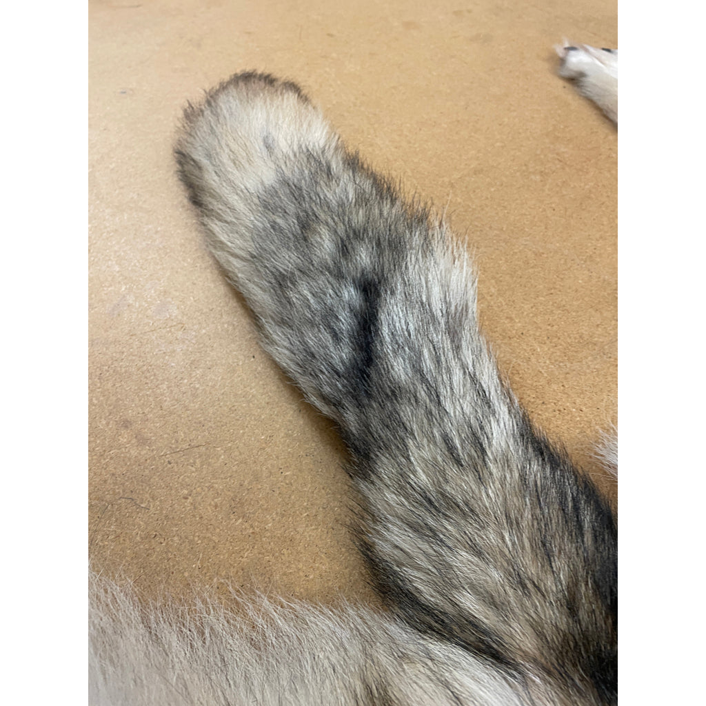Timber Wolf - 86 Inches