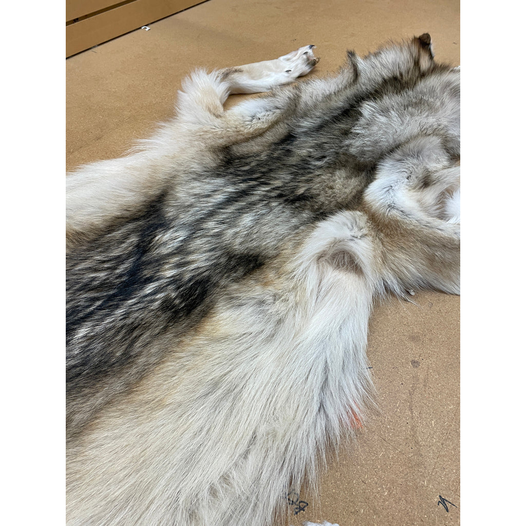 Timber Wolf - 86 Inches