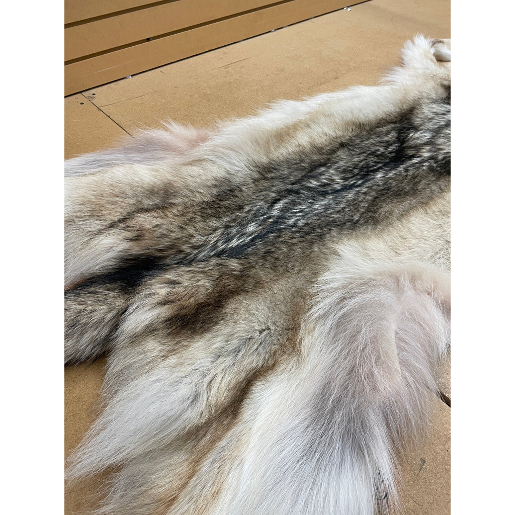 Timber Wolf - 86 Inches