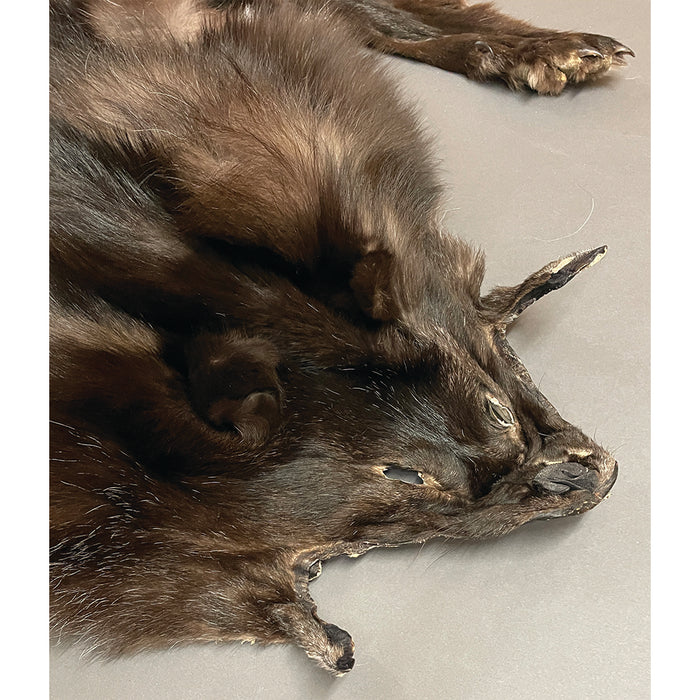 Timberwolf Black - 74 Inch