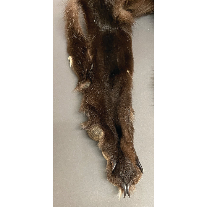 Timberwolf Black - 74 Inch