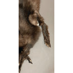 Timberwolf Black - 69-Inch