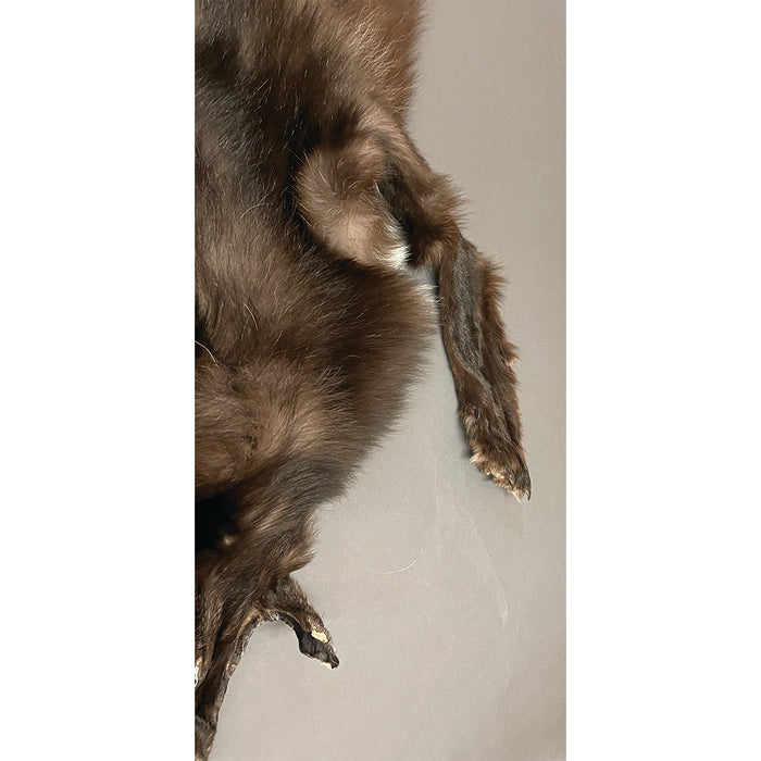 Timberwolf Black - 74 Inch