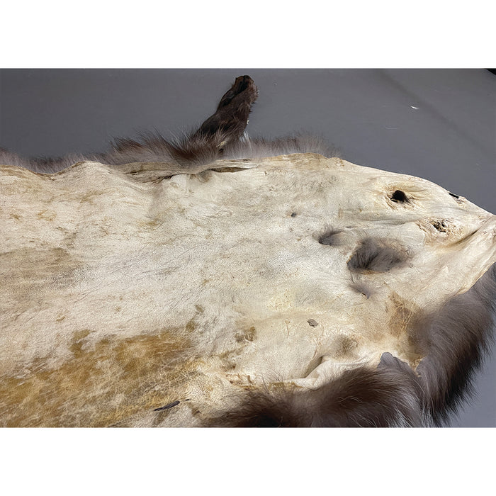 Timberwolf Black - 74 Inch