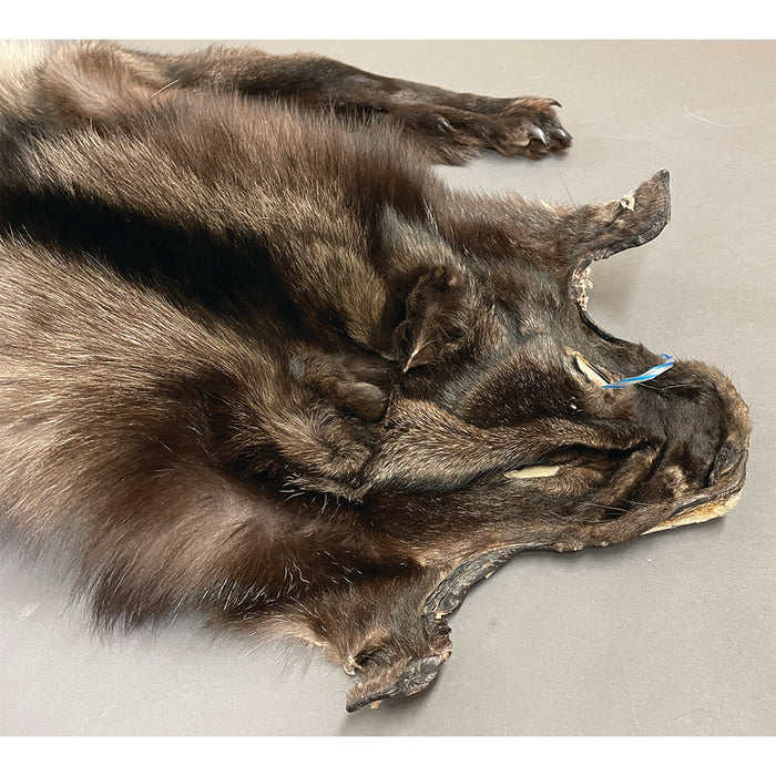 Timberwolf Black - 70-Inch