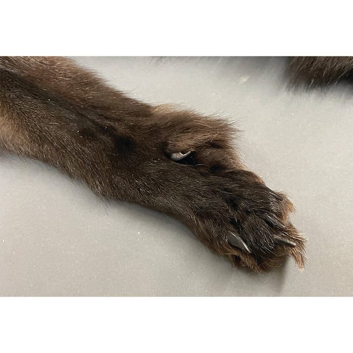 Timberwolf Black - 70-Inch