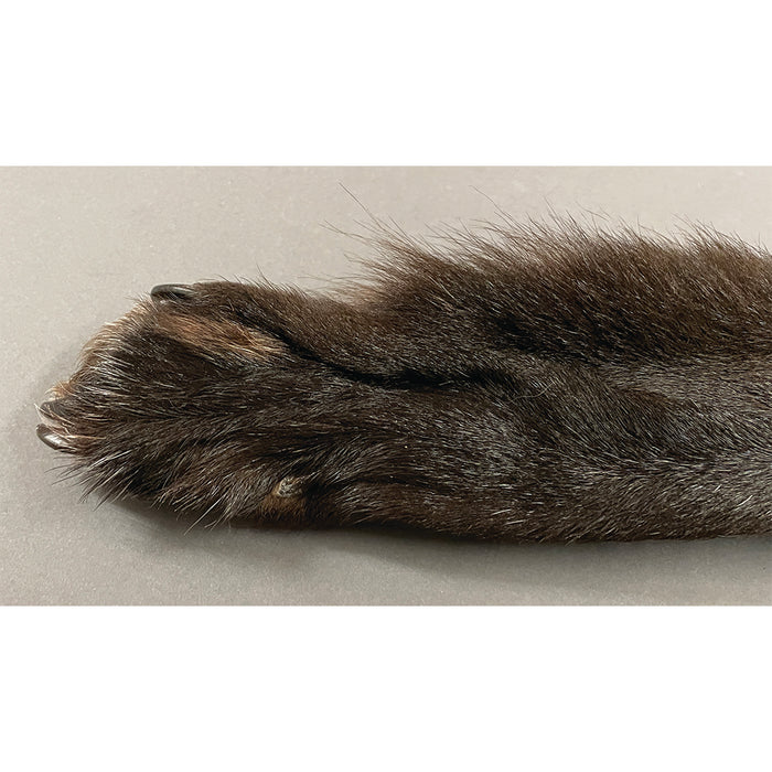 Timberwolf Black - 70-Inch