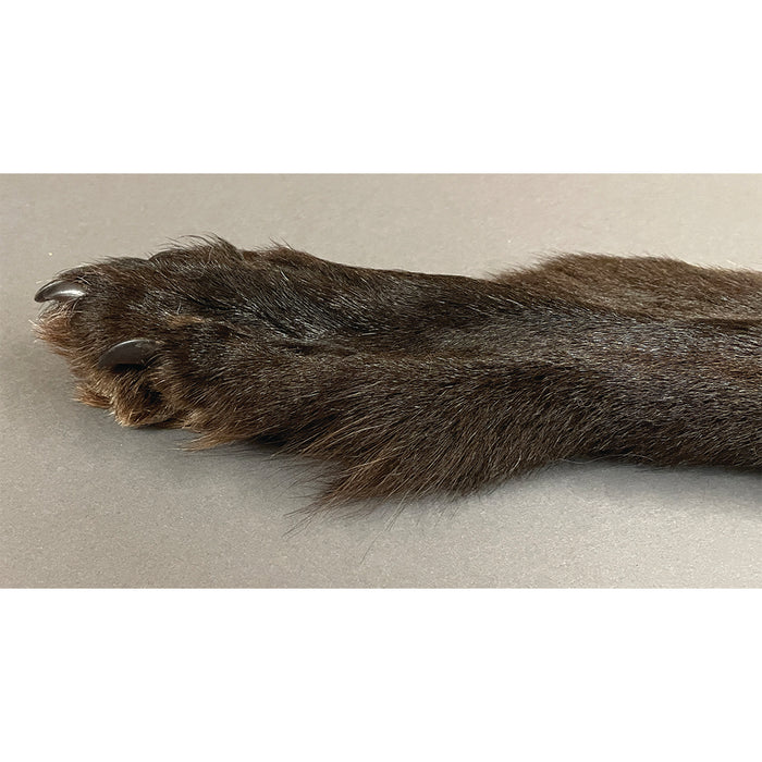 Timberwolf Black - 70-Inch