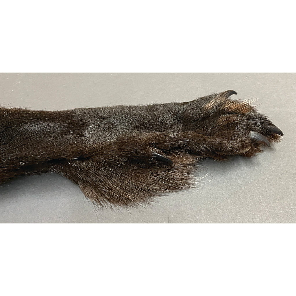Timberwolf Black - 70-Inch