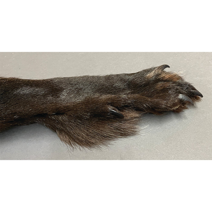 Timberwolf Black - 70-Inch