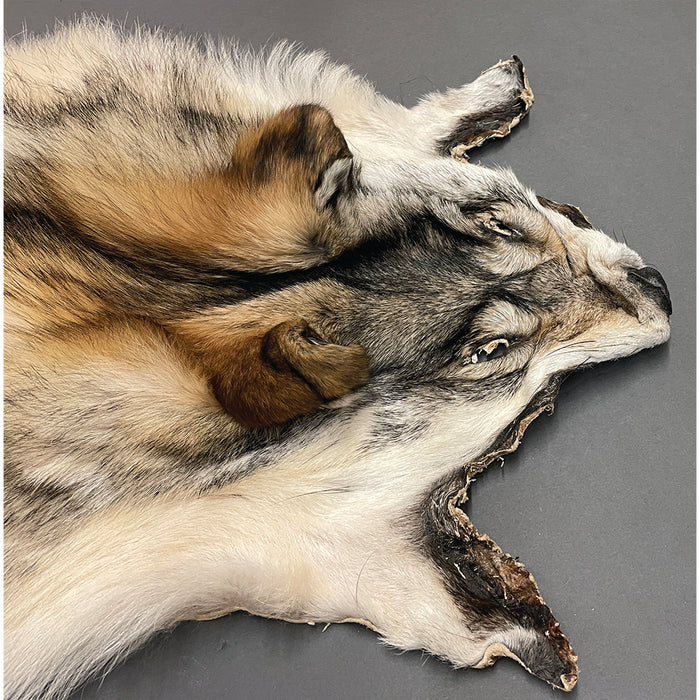 Timberwolf Grey - 82.5-Inch