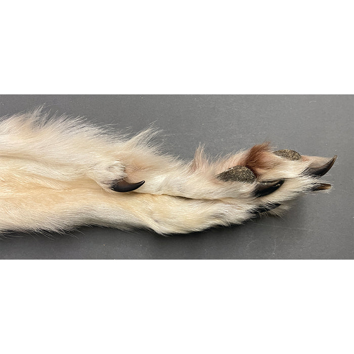 Timberwolf Grey - 82.5-Inch