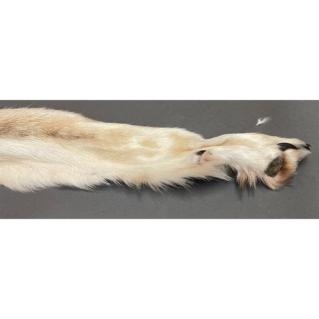 Timberwolf Grey - 82.5-Inch