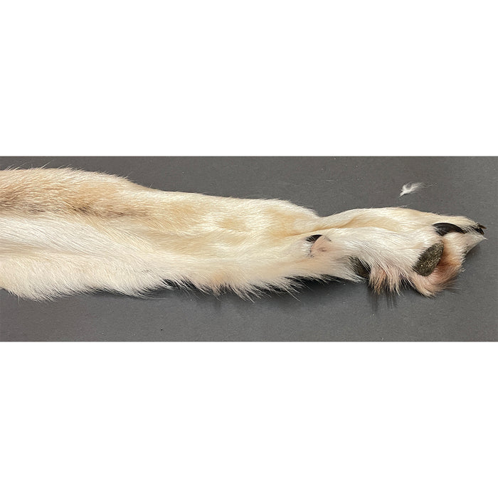 Timberwolf Grey - 82.5-Inch