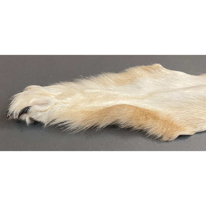 Timberwolf Grey - 82.5-Inch