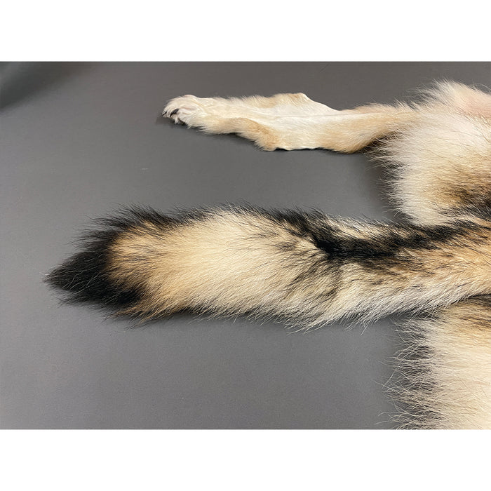 Timber Wolf Hide SQ6751P25 - Claw, Antler & Hide Co