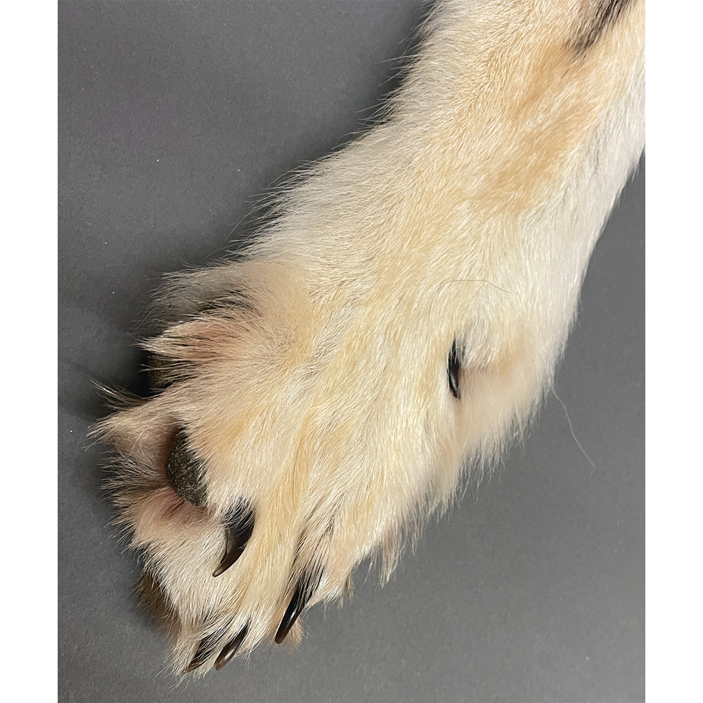 Timberwolf Grey - 72-Inch