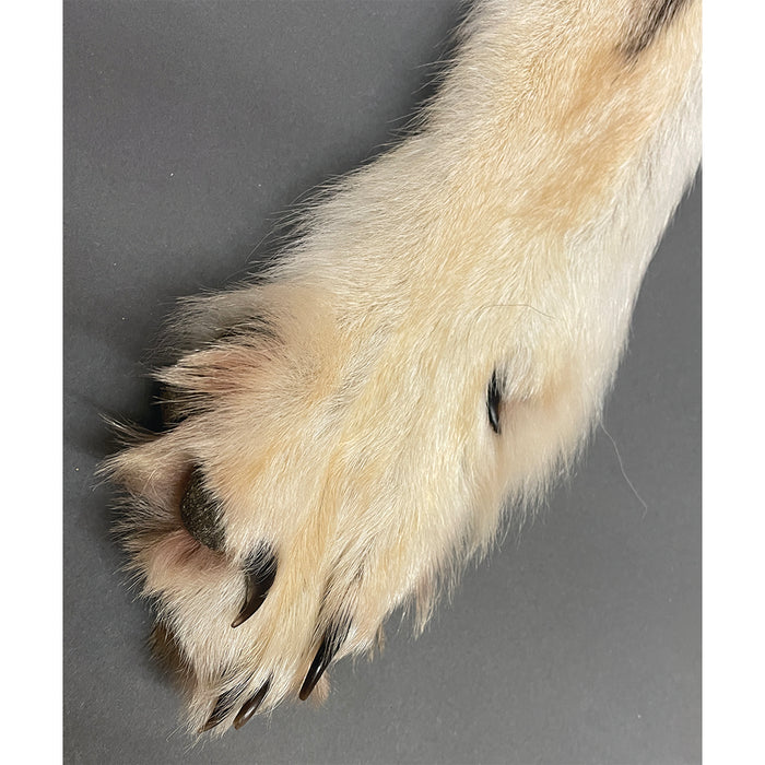 Timberwolf Grey - 72-Inch