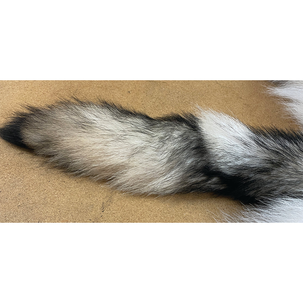 Timber Wolf - 77 Inches