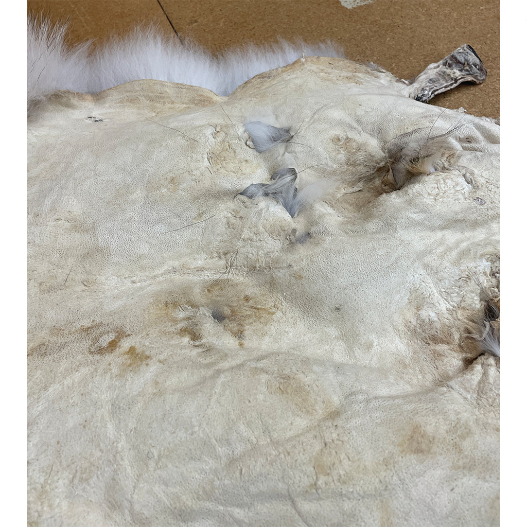 Timber Wolf - 75 Inches